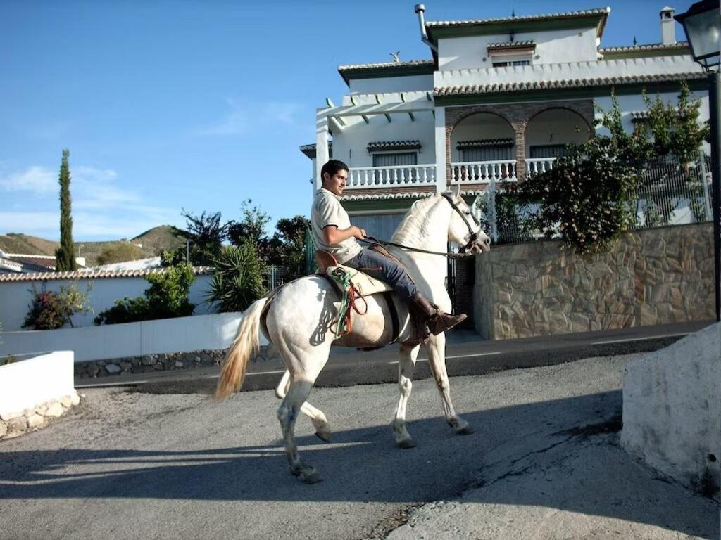 Casa Juan Vinuela Villa *
